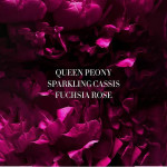 Eau de Parfum Rollerball Set